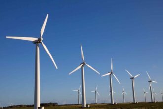 Trump Government Blocks US Wind Project